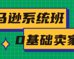 亚马逊系统班，专为0基础卖家量身打造，亚马逊运营流程与架构-则成副业项目资源站