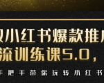 小红书爆款推广引流训练课5.0，手把手带你玩转小红书（17节实操视频+话术）-则成副业项目资源站