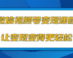 微信视频号变现项目，0粉丝冷启动项目和十三种变现方式-则成副业项目资源站
