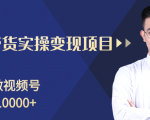 柚子分享课:微信视频号变现攻略,新手零基础轻松日赚千元-则成副业项目资源站