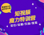 零基础小白进阶到大神《短视频魔力特训营》定位-运营-引流-变现-则成副业项目资源站