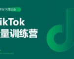 2020最新TikTok流量增长训练营(完结)附PPT-则成副业项目资源站