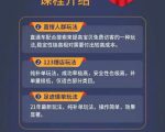数据蛇淘宝2021最新三大补单玩法+稽查规则，降低90%被抓概率-则成副业项目资源站