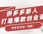拼多多新人打造爆款创业课：快速引流持续出单，适用于所有新人-则成副业项目资源站
