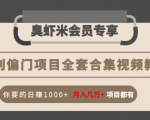 暴利偏门项目全套合集视频教程:你要的日赚1000+月入几万+项目都有-则成副业项目资源站