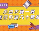 清和行记引流训练营：小白不到一周便能日引流几十精准粉-则成副业项目资源站