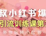 狼叔小红书爆款推广引流训练课第12期，手把手带你玩转小红书-则成副业项目资源站