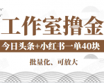 工作室撸金二件套：撸今日头条原创收益+小红书一单利润40块项目-则成副业项目资源站