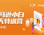 雨课·亚马逊小白特训营第9期 跨境电商挺赚钱的 有朋友已经月入几十万美金-则成副业项目资源站