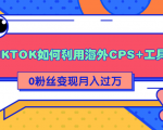详细解析TIKTOK如何利用海外CPS+工具0粉丝轻松变现月入过万-则成副业项目资源站