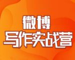 村西边老王·微博超级写作实战营，帮助你粉丝猛涨价值999元-则成副业项目资源站
