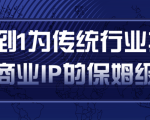 从0到1为传统行业打造抖音商业IP简单高效的保姆级攻略-则成副业项目资源站