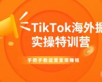 TikTok海外掘金实操特训营：手把手教运营变现赚钱-则成副业项目资源站