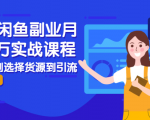2021闲鱼副业月入过万实战课程：从开店到选择货源到引流，全程实战教学-则成副业项目资源站