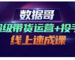 数据哥·超级带货运营+投手线上速成课，快速提升运营和熟悉学会投手技巧-则成副业项目资源站