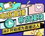 大鹏·电商直播带货课，系统学习直播带货各环节技巧和套路-则成副业项目资源站