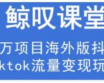 鲸叹号·海外TIKTOK训练营，百万项目海外版抖音tiktok流量变现玩法-则成副业项目资源站