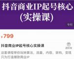 抖音商业IP起号核心实操课，带你玩转算法，流量，内容，架构，变现-则成副业项目资源站