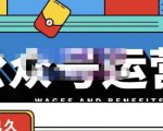 零零已久·从0-1运营公众号，零基础小白也能上手，系统性了解公众号运营-则成副业项目资源站