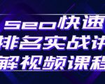seo快速排名实战讲解视频课程，揭秘seo快排原理-则成副业项目资源站