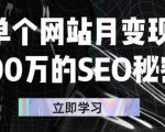 单个网站月变现100万的SEO秘密,百分百做出赚钱站点-则成副业项目资源站