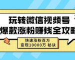 玩转微信视频号爆款涨粉赚钱全攻略，快速涨粉百万变现万元秘诀-则成副业项目资源站