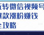 玩转微信视频号爆款涨粉赚钱全攻略,让你快速抓住流量风口,收获红利财富-则成副业项目资源站