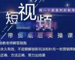 吴Sir·短视频带货底层实操课,教你如何选爆品、了解获短视频流量密码,正确起号-则成副业项目资源站