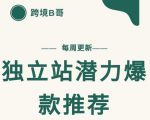 【跨境B哥】独立站潜力爆款选品推荐，测款出单率高达百分之80-则成副业项目资源站