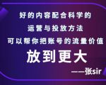 张sir账号流量增长课，告别海王流量，让你的流量更精准-则成副业项目资源站