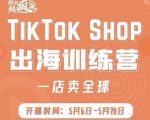 疯人院:TikTok Shop出海训练营（一店卖全球)，出海抢占全球新流量-则成副业项目资源站