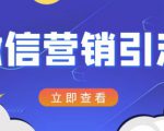 微信营销策划引流系列课程，每天引流100精准粉-则成副业项目资源站