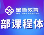 星雪教育淘系高级班，更全的运营提升方案，零基础由浅入深，店铺最新玩法-则成副业项目资源站