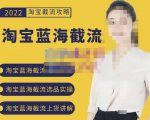 2022淘宝蓝海截流攻略，淘宝蓝海截流选品上货实操讲解-则成副业项目资源站