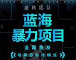 引流哥蓝海暴力躺赚项目：无需发圈无需引流无需售后，每单赚50-500（教程+线报群)-则成副业项目资源站