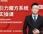 阿呆-引力魔方系统实操课，全体系实战教学，助你快速掌握推荐流量底层逻辑-则成副业项目资源站