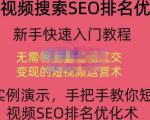 宋老师·短视频搜索SEO优化，教你10分钟创作一个短视频，三天排名上第一-则成副业项目资源站