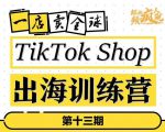 TikTokShop出海训练营（第十三期），打开全球流量新思维，出海抢占全球新流量，一店卖全球-则成副业项目资源站