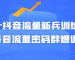 Peter抖音流量新兵训练营-破解抖音流量密码群爆训练营（新兵）-则成副业项目资源站