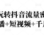 2022玩转抖音流量密码，(直播+短视频+千川)-则成副业项目资源站