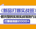 凌童《新品打爆实战班》,一套完整的实操实战落地方法，打爆链接超2000+（28节课)-则成副业项目资源站