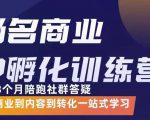 杨名商业IP孵化训练营，从商业到内容到转化一站式学 价值5980元-则成副业项目资源站