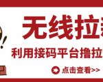 最新接码无限拉新项目，利用接码平台赚拉新平台差价，轻松日赚500+-则成副业项目资源站