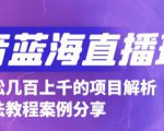 抖音最新蓝海直播玩法，3分钟赚30元，一天轻松1000+，只要你去直播就行【详细玩法教程】-则成副业项目资源站