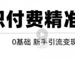 玩转知识付费项目精准引流，给你1套课多账号操作落地方案！-则成副业项目资源站