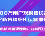 8000万用户规模增长方法论私域精细化运营增长，私域流量硬课助力业务跃迁-则成副业项目资源站