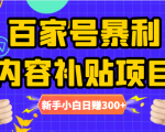 百家号暴利内容补贴项目，图文10元一条，视频30一条，新手小白日赚300+-则成副业项目资源站