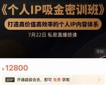 个人IP吸金密训班，打造高价值高效率的个人IP内容体系（价值12800元）-则成副业项目资源站