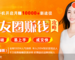 全网千万人气导师亲授：零基础/易上手的朋友圈赚钱攻略，让你轻松月入过万-则成副业项目资源站