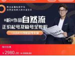 0粉0作品自然流正价起号及稳号全教程，专业自然流起号机构流程化教学（价值2980元）-则成副业项目资源站